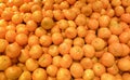 Close up of some oranges fruit Royalty Free Stock Photo