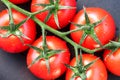 Close-up of some ripe tomatoes