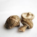 Close up of some shitake mushrooms. Conceptual image