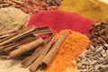 A close up of some spices II