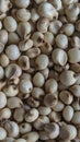 Close up of Sorghum grains stock photos Royalty Free Stock Photo