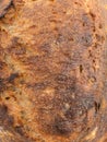 Close up, Sourdough bread at the bakery Royalty Free Stock Photo