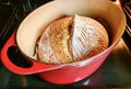 Close up of sourdough traditional Frence bread.