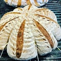 Close up of sourdough traditional Frence bread.