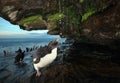 Southern rockhopper penguin taking shower Royalty Free Stock Photo