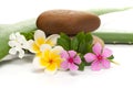 Close-up of Spa and Aromatherapy Concept ayurved concept , Frangipani Flowers, stone and alive vera and rose periwinkle isolated Royalty Free Stock Photo