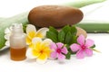 Close-up of Spa and Aromatherapy Concept ayurved concept , Frangipani Flowers, stone and alive vera and rose periwinkle isolated Royalty Free Stock Photo