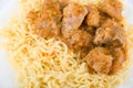 Close up of spaghetti and meat