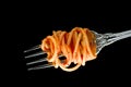 A close up of spaghetti with tomato sauce wrapped around a silver fork on a black background Royalty Free Stock Photo