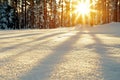 Close-up of sparkling fresh snow surface texture casting long shadows, with a bright golden sun starburst setting behind a dense Royalty Free Stock Photo
