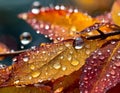 Close-up of sparkling raindrops on vivid autumn leaves with a macro perspective