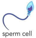 Close up of a sperm cell