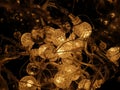 Close up spherical string lights as christmas lights on dark background.