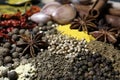 A close-up of spices. Chili pepper, garlic, cinnamon, turmeric, curry, allspice, coriander, cumin Royalty Free Stock Photo