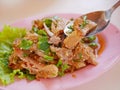 Close up of spicy grilled pork salad Nam Tok Moo - delicious and healthy Thai street food Royalty Free Stock Photo
