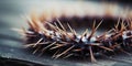 Close-up of a spiky plant Royalty Free Stock Photo