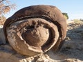 Close Up of a Spiral Rock in Lybrook Badlands in New Mexico