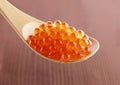 Full of delicious caviar on wooden spoon.
