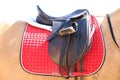 Close up of a sport horse saddle. Quality classical leather saddle Royalty Free Stock Photo