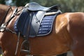 Close up of a sport horse saddle. Quality classical leather saddle Royalty Free Stock Photo