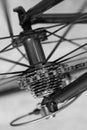 Racing bicycle rear axle with racing cassette gears Royalty Free Stock Photo