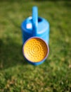 Close up on the spout of a green plastic watering Royalty Free Stock Photo