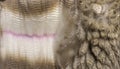 Close-up of spreading alpaca wool or fiber