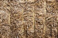 Close up of a square hay bale Royalty Free Stock Photo