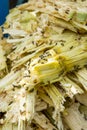 Close up stack bagasse of sugarcane and bee Royalty Free Stock Photo
