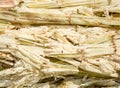 Close up stack bagasse of sugarcane and bee Royalty Free Stock Photo