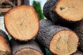 Big round cutted firewood pieces Royalty Free Stock Photo