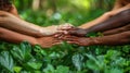 A close up of stack of diverse people hands planting tree. Green city. AIG53F. Royalty Free Stock Photo