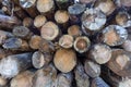 Close up of stack of felled tree trunks in forest