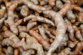 Close up of stack fresh turmeric Curcuma longa root ready for nutrition in food, cosmetic, medicine and spa