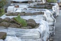 Close up of stack of sod turf grass rolls, ready for laying in new lawn. Natural grass installation Royalty Free Stock Photo