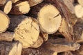 Close-up Of Stacked Firewood Of Olive Tree