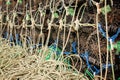 Close-up of stacked fishing cage traps Royalty Free Stock Photo