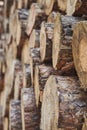 close-up of stacked pine logs with bark shallow depth of field Royalty Free Stock Photo