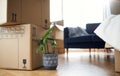 Close Up Of Stacked Removal Boxes And Houseplant In Lounge Ready For Moving In Or Moving Out Of Home