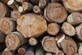 Close-up of stacked sawn trunks