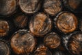 Close-up of Stacked Wood Logs Showing Annual Growth Rings Royalty Free Stock Photo