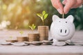 Close up of stacking gold dollars coins with Hand putting coin on PiggyBank ,Business Finance and Money concept,Save money for Royalty Free Stock Photo