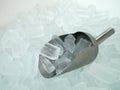 Close up stainless steel ladle on ice bucket. Royalty Free Stock Photo