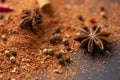Close-up of star anise and cinnamon and ground pepper lie on the table. Spicy food concept and oriental cuisine Royalty Free Stock Photo