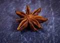 A single Star anise seed pod close-up Royalty Free Stock Photo