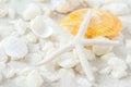 Close up of starfish and seashells on white sand background Royalty Free Stock Photo