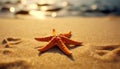 Close up of a starfish on a tropical coastline generated by AI