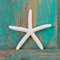 Close-up of a starfish and a turquoise wooden background Royalty Free Stock Photo