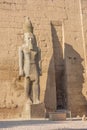 Close up of the statue of Ramesses II