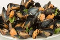 Close up of steamed fresh mussels on white plate